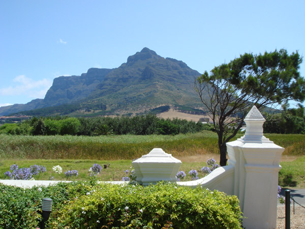 南アフリカのケープタウンの山と花